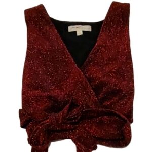 NWOT - Red Sparkle Wrap Tie Cropped Top